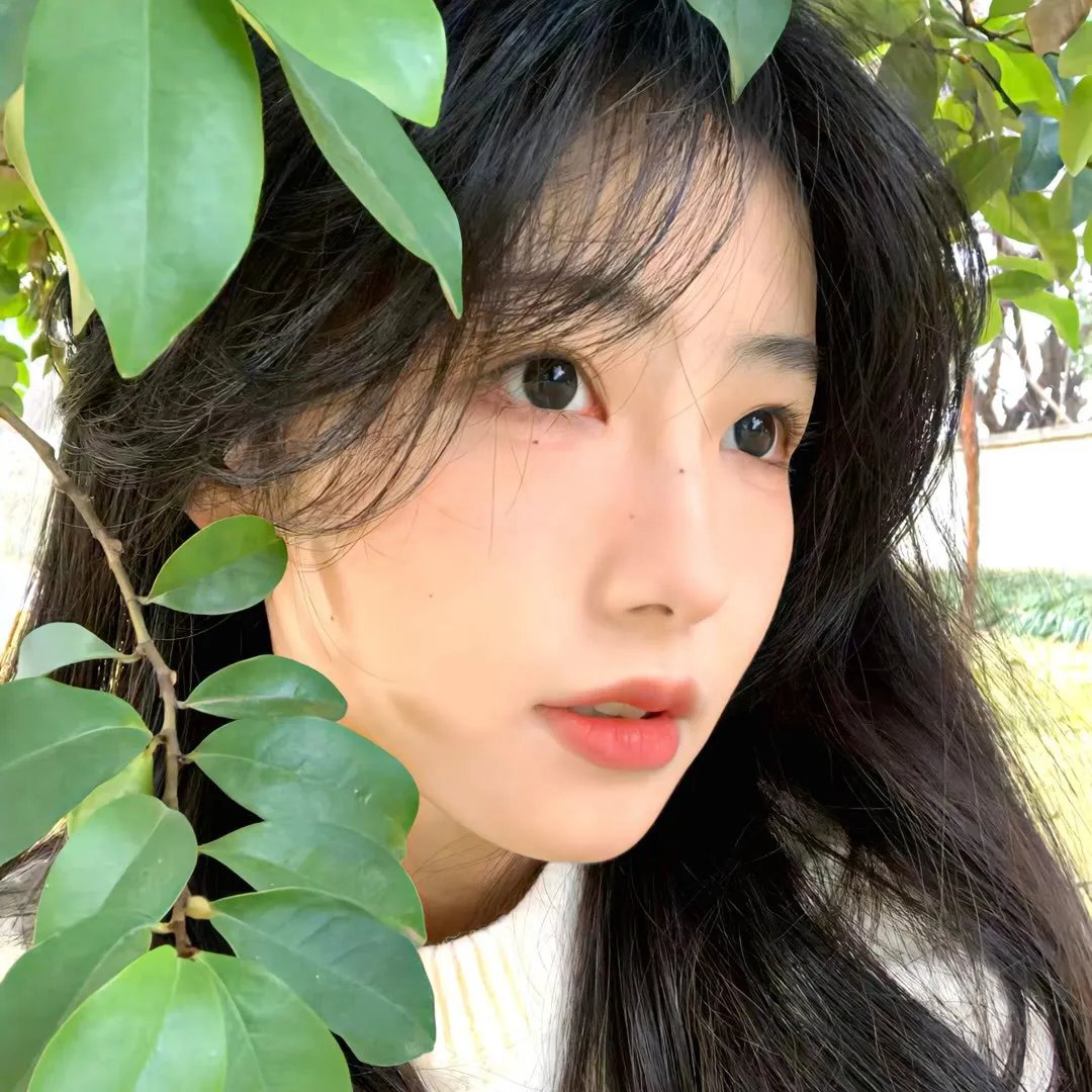 墨染凤冠烬江山